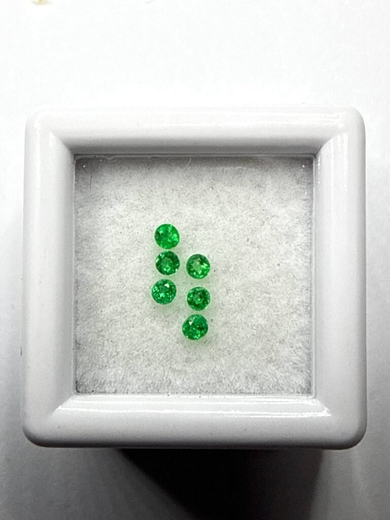 Celeritas