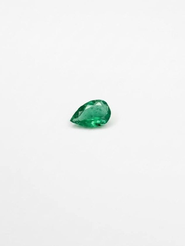 Vida Verde